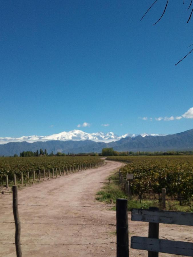 Loft Los Cerezos En Vistalba, Zona De Vinedos Y Bodegas Lujan de Cuyo Екстериор снимка