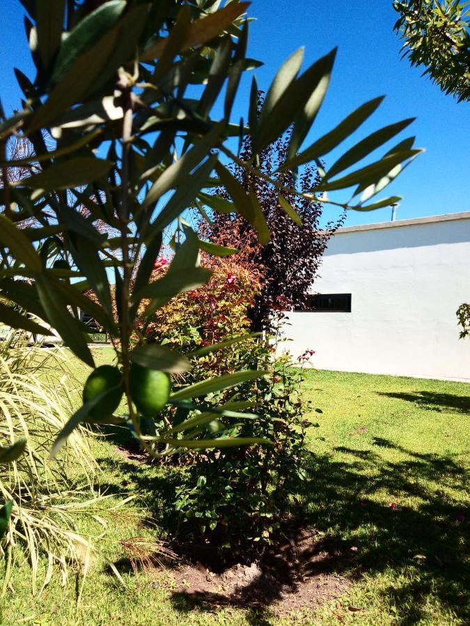 Loft Los Cerezos En Vistalba, Zona De Vinedos Y Bodegas Lujan de Cuyo Екстериор снимка